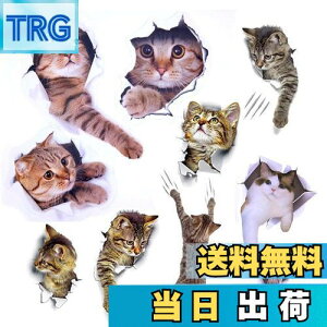 yzPazi EH[XebJ[ L   XebJ[ ˂ V[ 킢 3D ȒP DIY  \Ă͂  ǎ gC  Lb` CeA