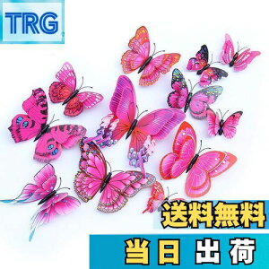 yzULIN  3D  EH[XebJ[ ǎV[  ʃe[v V[ rO ① CeA ǃV[  킢 EH[y[p[ |X^[ p[v