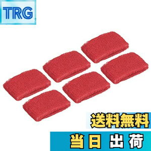 yzPATIKIL X|[cXgoh 8x5cm 6{ ȃe[NX z̊~߃oh ejX 싅 GNTTCY AX`bNjOp bh