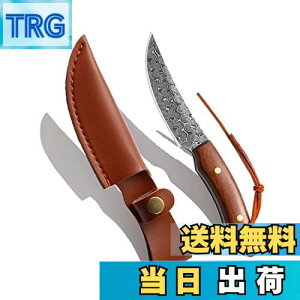 yzDcenrun AEghAiCt tBbVOiCt t^O\ V[X ToCo o[xL[ Lv oR ނ ʕiCt