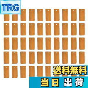 yznalaina |XCX |ؕ (50Zbg) `bv ^O p؍ރ`bv DIY|ؐy_g L[z_[ y_g p`bv 蕨 |  H|i 45 x 20mm |