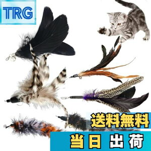 yzYINKE L  6_Zbg Ĥ L炵 H ˂ߋ  Ղ ^sƃXgXiubNj