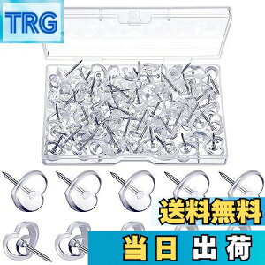 yzADOFUN e т傤 n[g^ ߋ vbVs s NA rE y50ze  ڗȂ [ xbg iB fp ʐ^ |X^[ H