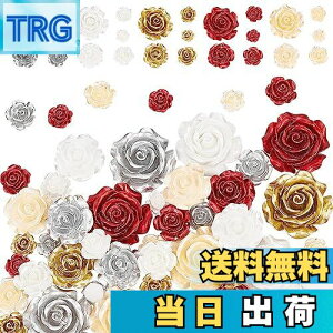 yzPH PandaHall J{V  KN 50 5F 3D ̓I Wr[Y  o fRp[c [Y wANbv ANZT[p[c WG[p DIY nhCh |ޗ f 