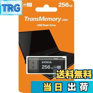 yzKIOXIA TransMemory U301 USBtbVhCu 256GB, LU301K256GG4