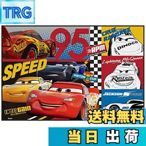 yzXP[^[ (skater) W[V[g STCY 60×90cm fBYj[ J[Y 22 VS1-A