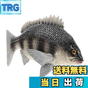 yzEXCEART  C̓ tBMA ̃f I  u  V~[V 