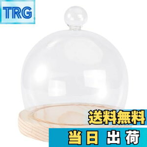 yzEXCEART KXh[ ؎x[X KXJo[ KXP[X fBXvCP[X RNVP[X iωԕr i  13cm 1Zbg