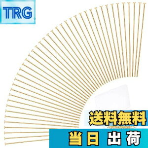 yzPH PandaHall Ts S[h 100{ ANZT[p[c 304XeX| s CO r[Yj 24Kt DIYp WG[p nhCh | p[c ޗ f 35x0.7mm