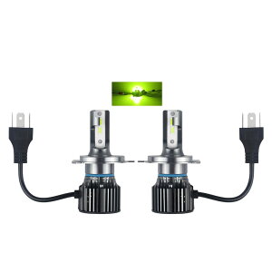 yzCatland LEDtHOv CG[  12V px 2