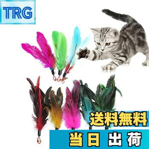 yzSHULLIN 8Zbg L̉Ĥ L炵 Ĥ L Lkł ނ p̉H VR̉H_ t LXgX L̃XeBbN̉H