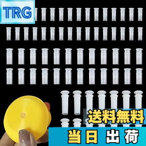 yzZHEJIA Jy90_ZbgzJp J  XNC[Y XNC[J[ C  ʂ {[  p p[c