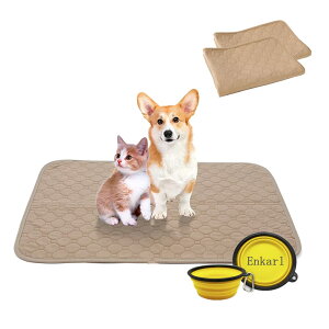 yzEnkarl ybgp}bg ybg}bg gCV[g ~ }bg 􂦂 JԂp\ h  L ~ ybgV[g ld\ pbh L ^ 