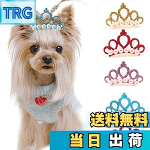 yzZHEJIA p wANbv y10Zbgzybg ybgpwANbv wAs 킢  ybg wAANZT[  