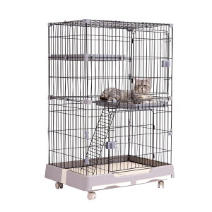 yzPETTOM LP[W LbgP[W P[W 82cm 2/3i ybg L LbgQ[W Lbg ^[ [ LX^[ t Eh~  B ˂ lRP[W RpNg nbN 