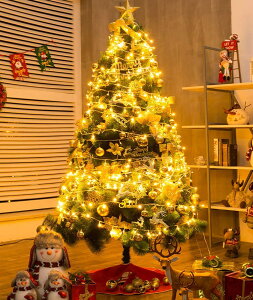 yzLEDC~l[V Cg 500 30m LEDd