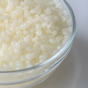 yz}CNbNX n[h^Cv  yLh ptBbNX }CNNX^bNX ޗz