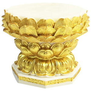 yzYUYAKESHI p ی^ @،^ RRV̉ʎ    @̑  @ Ւd  u  RNVW u