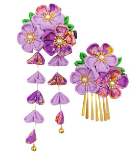 yz[JZOON] ܎O  ܂ݍ׍H l ܎O    U a  Ǝ   t 753 ZF C{[J[  H2700