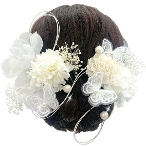 yz[JZOON]  l  hCt[ X z \[[[Y lC wAANZT[ OB U Ǝ  a   ߂ uC_ ԉ zCg 