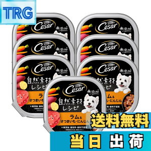 �y���������z�V�[�U�[���R�f�ރg���C �F�F1)85gx7��(������)�A�T�C�Y�F1)85gx7��(������)