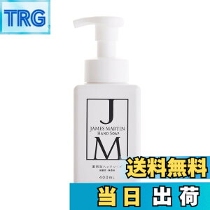 �y���������zJAMES MARTIN �W�F�[���Y�}�[�e�B�� ��p�A�n���h�\�[�v 400ml �F�F�z���C�g�A�T�C�Y�F400�~�����b�g�� (x 1)