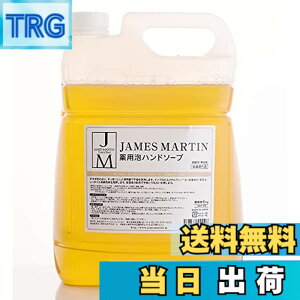 �y���������zJAMES MARTIN �W�F�[���Y�}�[�e�B�� ��p�A�n���h�\�[�v �l�ߑւ��p 5kg �T�C�Y�F5�L���O���� (x 1)
