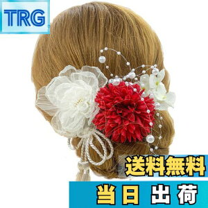 yzyJZOON z 6_Zbg wAANZT[ wACN hCt[ Us wAs    Ȍ a    VtH{̉Ԃт z F