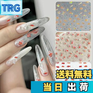 yzChisafly lCV[  lCXebJ[ AWTC z 2Zbg FF