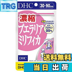 yzDHC ZkvGA~tBJ FFȂATCYF90 (x 1)