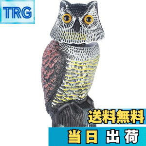 yzUhtNEu, AȖڂ̑t, EJXEXYޗp, 뉀Ex_p FFO[AԒFAF