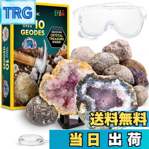 �y���������zNATIONAL GEOGRAPHIC Break Open Geodes�T�C�G���X�L�b�g �| �S�[�O���A�ڍׂȊw�K�K�C�h�A�f�B�X�v���C�X�^���h�t�� - ������N��̍z���w��n���w���D�ƂɍœK��STEM�T�C�G���X�M�t�g