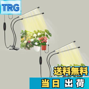 �y���������zbseah�����A���������A�S�X�y�N�g�������������A3��ނ̃��[�h��10���̒��� �T�C�Y�F���[2pcs