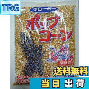 yzN[o[ |bvR[Ɩp 1kg TCYF1LO (x 1)