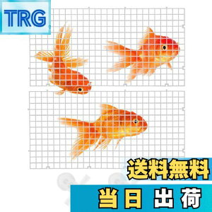 【送料無料】LIROYAL 水槽仕切り (4点セット) 水槽仕切り板 ゴム吸盤付き カット スプライシング可能 取り付けが簡単 水槽 セパレーター 透明 分割 アクアリウム 隔離 魚 熱帯魚 稚魚 爬虫類 ウ