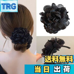 yzHAPVITAL  ob^ p[ JA oiiNbv wANbv fB[X ȒP p 傫 wAAW wAANZT[ JA ~joX Nbv [Y 