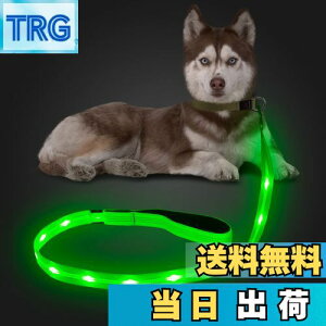 yzCandofly ˌ^ LED p[h - ÈłŌ錢p[h USB [dƖtp[vA4 tB[g̑ϋv̂ϐ_Ōp[hAybǧ̖̎Up ()