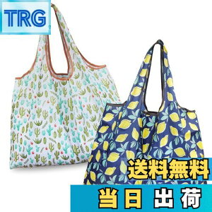 yz[GOKEI] GRobO y2 50×67cm eʁz ܂肽 obO RrjobO hf [ ≘ɂ y RpNg