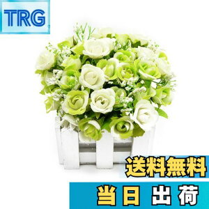 yzBEADY ~j_C[o lHϗtA  G} tFCNO[ CeA Mtg j (ԍ(zCg), O[&zCg)