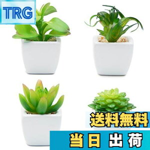 yzTOSSOW lHA ~j lHϗtA  ͂Ȃ CeA 4_Zbg ` v[g