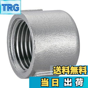 yzSANEI(TGC) svȔzǂӂ XeXLbv Ă10