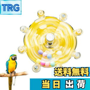 yzEsiFare CR   ނ ] P mߋ  XgX ފߋ IE IJCR ZLZCCR ]ߋiCF[j