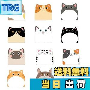 yzDFsucces t 12Zbg v360 ^ S p YtⳃZbg ׋ d bZ[WV[ 惁XebJ[ [