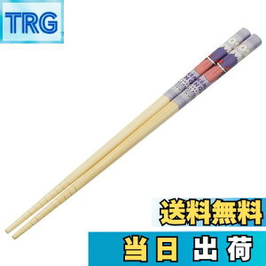 yzXP[^[(Skater) |S  | 21cm |PbgX^[ QK[  ANT4-A