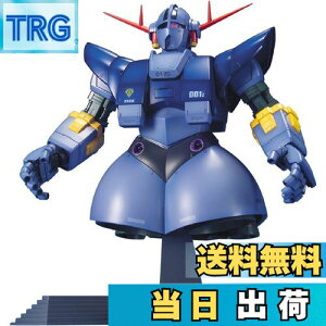 yzMG @mK_ MSN-02 WIO 1/100XP[ Fς݃vf