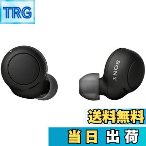 yz\j[(SONY) SCXCz WF-C500 : /yʏ^5.4g/xʘbi/ȒPyAO/IPX4hH\/ubN WF-C500 BZ