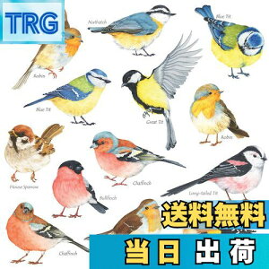 yzDECOWALL DS-8038  () EH[ XebJ[ fR ct ۈ牀 q DIY p Ǔ] V[ EH[A[g V[ j̎q ̎q 10 ǂ oX[ fR[V r