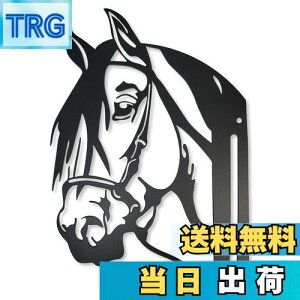 yzLezalic K[fjO u  ACAv[g IuWF |  CeA EbhfbL (n)