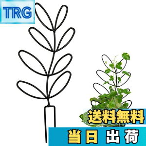 yzYUWENW |x Ax 1Zbg Ԃ Ԏx AT|[g ϗtA T|[g A|h~ Œ\ ėp\ AŒ A UT|[g 鐫Ap 