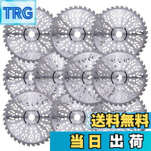 �y���������zSHUZIYU �����@�p�`�b�v�\�[ 230x36P 10���g